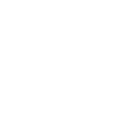 Export-Grade Packing & Global Delivery